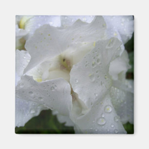 Iris flower magnet