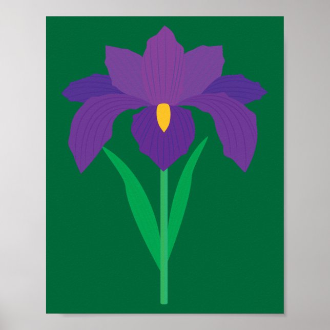 Iris Flower Poster (Front)