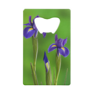 Iris Flowers