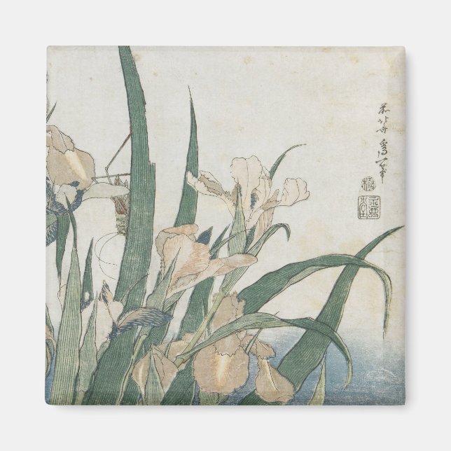 Iris Flowers and Grasshopper, c.1830-31 Magnet (Front)