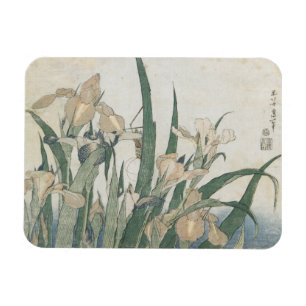 Iris Flowers and Grasshopper, c.1830-31 Magnet