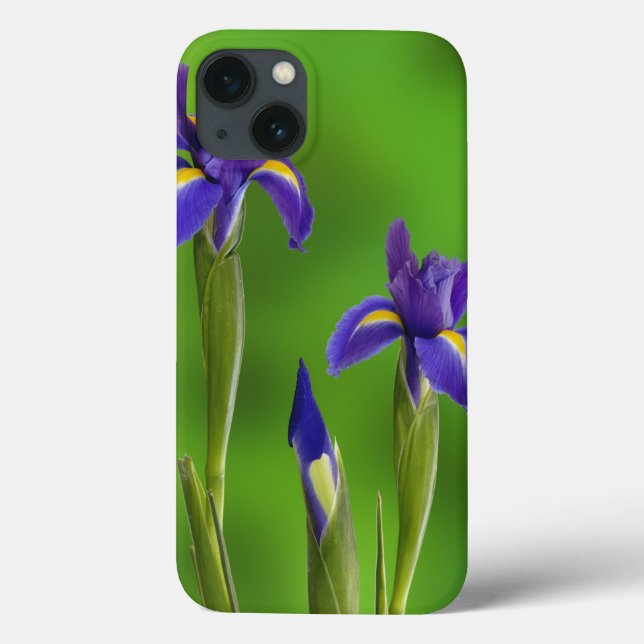 Iris Flowers Case-Mate iPhone Case (Back)