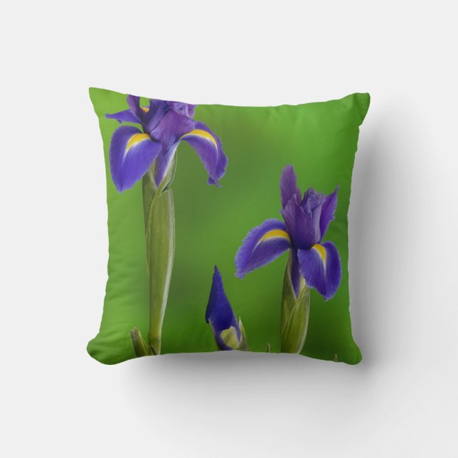 Iris Flowers Cushion (Front)
