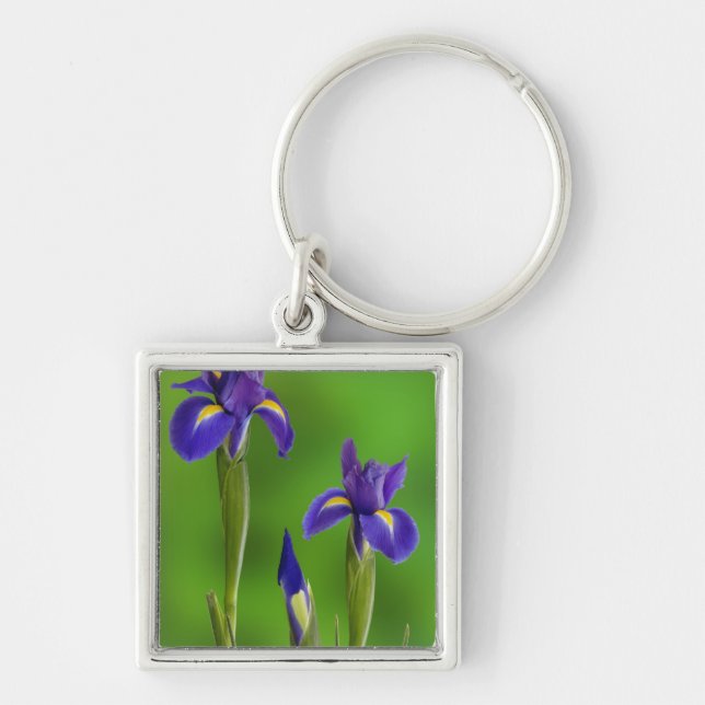 Iris Flowers Key Ring (Front)