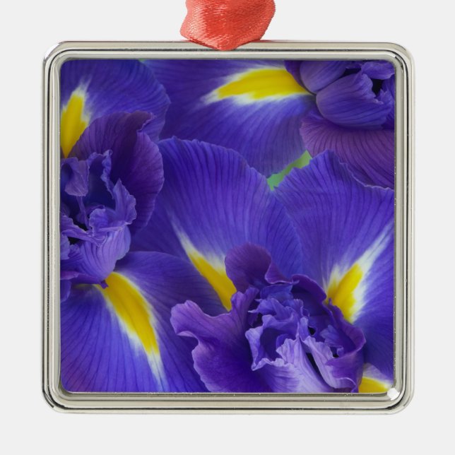 Iris flowers metal ornament (Front)
