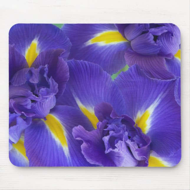 Iris flowers mouse pad (Front)