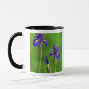 Iris Flowers Mug