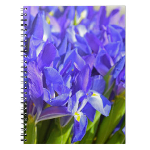 Iris flowers notebook