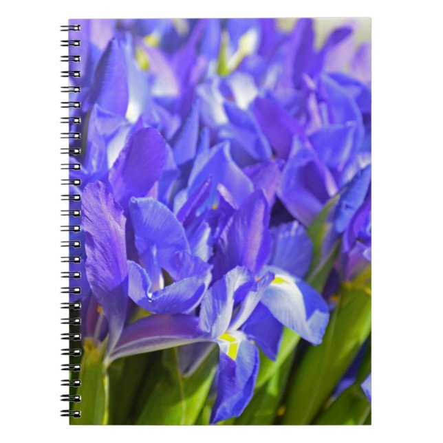 Iris flowers notebook (Front)