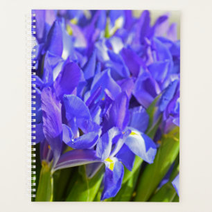 Iris flowers planner