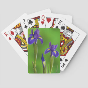 Iris Flowers Playing Cards