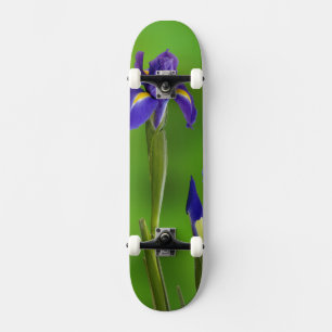 Iris Flowers Skateboard