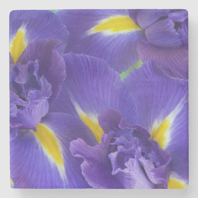 Iris flowers stone coaster (Front)