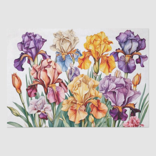 Iris flowers tissue paper (Front)