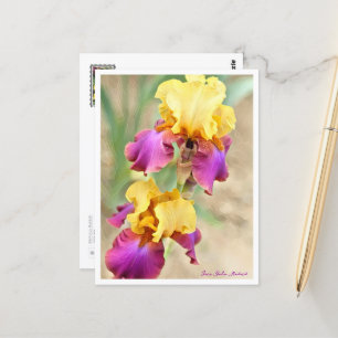 Iris Gala Madrid Postcard