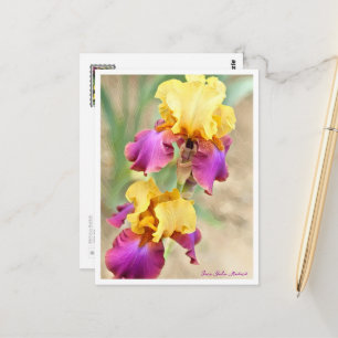 Iris Gala Madrid Postcard