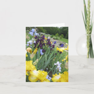 Iris Garden Small Blank Note Card