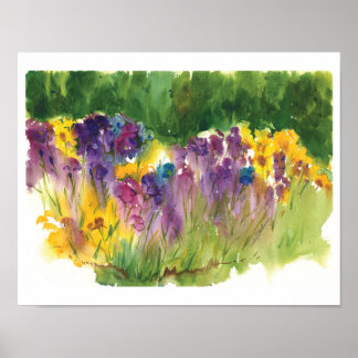 Iris Garden Watercolor Print - 11 x14