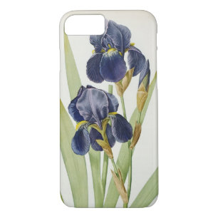 Iris Germanica, from `Les Liliacees', 1805 iPhone 8/7 Case