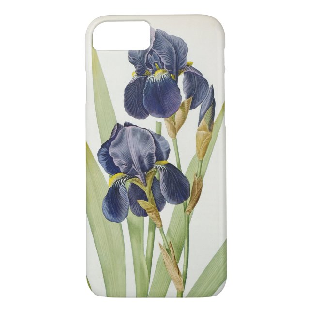 Iris Germanica, from `Les Liliacees', 1805 Case-Mate iPhone Case (Back)