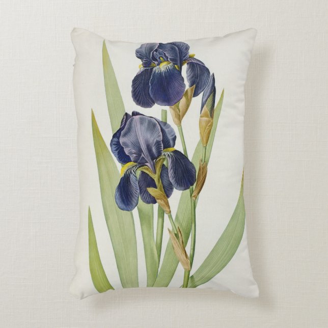 Iris Germanica, from `Les Liliacees', 1805 Decorative Cushion (Front(Vertical))