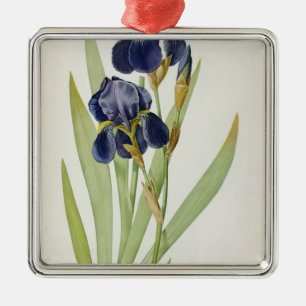 Iris Germanica, from `Les Liliacees', 1805 Metal Tree Decoration