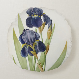 Iris Germanica, from `Les Liliacees', 1805 Round Cushion