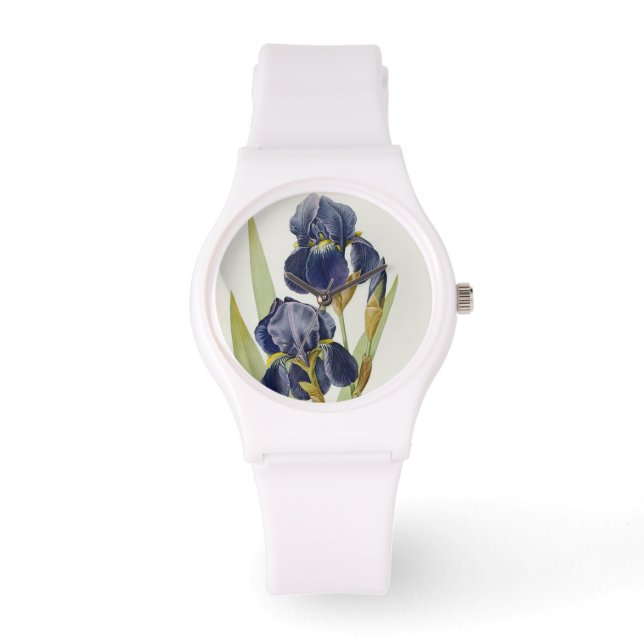 Iris Germanica, from `Les Liliacees', 1805 Watch (Front)