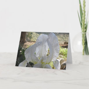 Iris Greeting Card