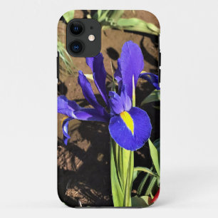 Iris in a Tulip Field, Woodburn, Oregon iPhone 11 Case