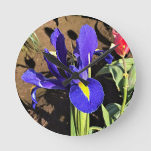 Iris in a Tulip Field, Woodburn, Oregon Round Clock