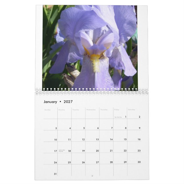 Iris in the Garden Calendar (Jan 2027)