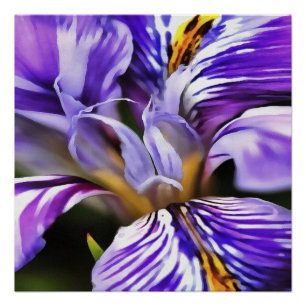 Iris In Violet Lilac and Purple Botanical Art Poster