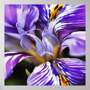 Iris In Violet Lilac and Purple Botanical Art Poster