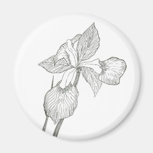 Iris ink magnet