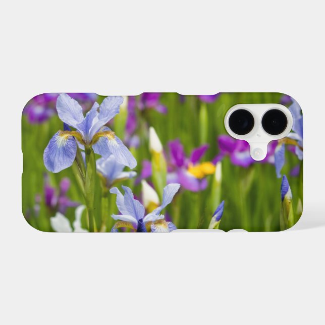 Iris | Iridaceae Field Of Flowers Custom Photo (Back Horizontal)