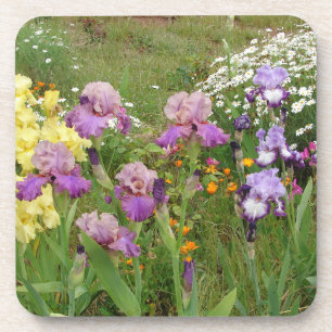 Iris irises floral Flowers Cottage Garden Birthday Coaster