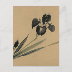 Iris Japanese Ukiyo-e Art Postcard
