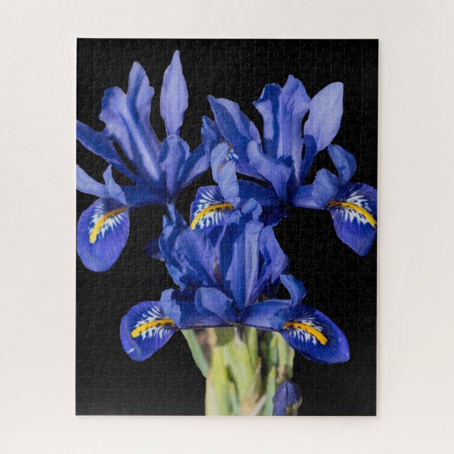 Iris Jigsaw Puzzle (Vertical)