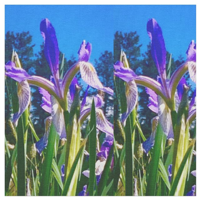 Iris Light Fabric (Close Up)