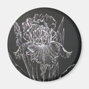 Iris Magnet