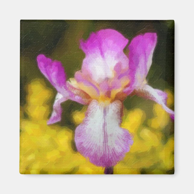 Iris Magnet (Front)