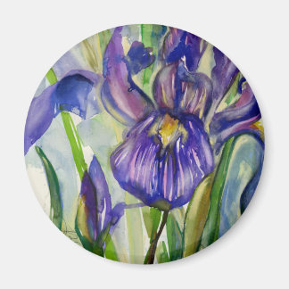 Iris Magnet