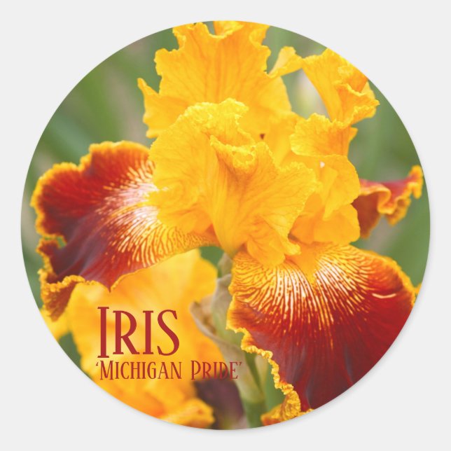 Iris ‘Michigan Pride’ [Round Seal] ラウンドシール Classic Round Sticker (Front)
