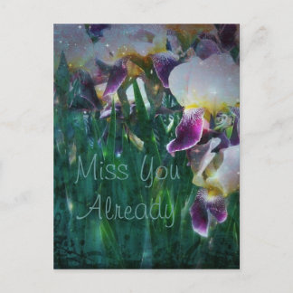 Iris Miss You Already Postcard