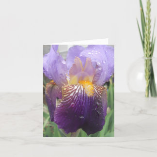 Iris note card