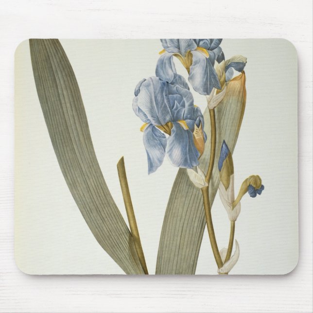 Iris Pallida, from `Les Liliacees', 1812 Mouse Pad (Front)