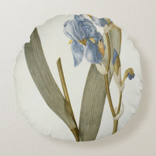 Iris Pallida, from `Les Liliacees', 1812 Round Cushion