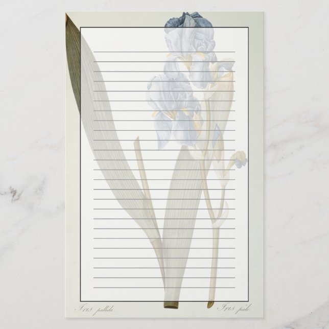 Iris Pallida, from `Les Liliacees', 1812 Stationery (Front)