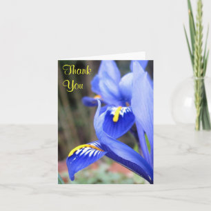 iris petals thank you note card